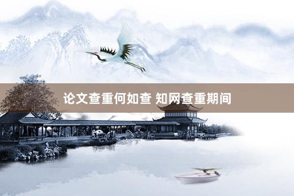论文查重何如查 知网查重期间